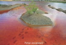 Izbor fotografija nastalih tokom projekta „Omladinskog foto aktivizma“