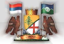 grb logo Opstina Bor