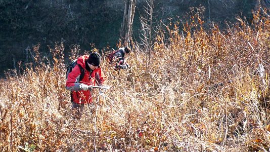 „Crni Vrh 45“ nastavilo pošumljavanje Crni Vrh 45 akcija posumljavanja