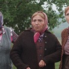 Hit domaći film „Braća po babine linije“ sada i na repertoaru bioskopa Zvezda