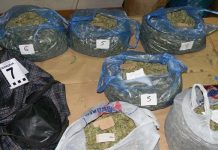 Policija zaplenila 28,3 kilograma marihuane