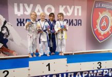 Borski džudisti ostvarili zapažene rezultate na međunarodnom turniru u Beogradu