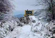 Rudari „Novog Cerova“ pomogli da se prokrči put do Vlaola kako bi monteri popravili elektro mrežu