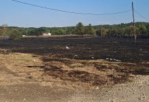 Požar zahvatio deo prostora gde se održava Gitarijada, vatrogasci na terenu
