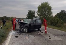 U saobraćajnoj nesreći na putu Zaječar – Bor poginula žena