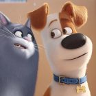 3D projekcije crtanih filmova ponovo u bioskopu Zvezda