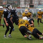 Avala Golden Bears Bor