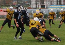 Američki fudbal: „Medvedi“ završili sezonu utakmicom protiv Kragujevčana Avala Golden Bears Bor