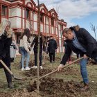 Zasađeno ukrasno drveće kod Kapije grada