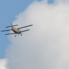 Avioni privredne avijacije koji suzbijaju gubare doleteli danas u Bor