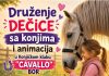 U nedelju u Konjičkom klubu „Cavallo“ iz Bora bogat program za decu i porodice