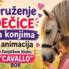 U nedelju u Konjičkom klubu „Cavallo“ iz Bora bogat program za decu i porodice