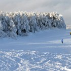 crni vrh bor skijanje