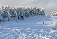 crni vrh bor skijanje