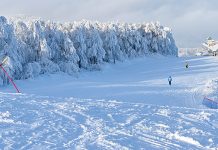 U petak besplatno skijanje na Crnom vrhu