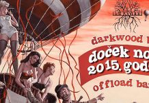 Doček 2015. godine u klubu Darkwood uz Offload bend