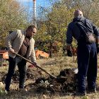 Drvo prijateljstva: U Gradskom parku u Boru posađeno 50 sadnica šarenolisne vrbe