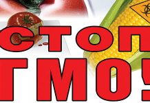 Inicijativa Pokreta Dveri: Mi ne želimo GMO na našoj teritoriji!