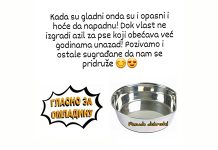 Borski omladinci posle „kuka dobrote“ postavljaju „posude i kućice dobrote“ za napuštene životinje