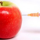 Uskoro Savez gradova i opština protiv GMO GMO