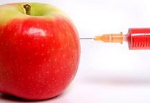 GMO