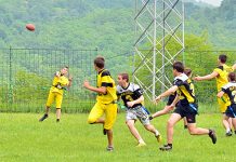 Medvedići dobri na „Savači“ Golden Bears