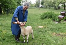 Upravnica Kriveljskog kamenoloma Gradislava Busić živi kao gorštakinja