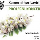 Koncert hora Lavirint u borskoj Narodnoj biblioteci