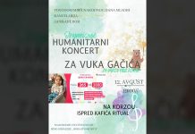 Dan mladih: Humanitarni koncert za Vuka Gašića u Boru
