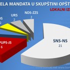 Ubedljiva pobeda SNS-a na lokalnim izborima u Boru, „iznad crte“ još 5 liste