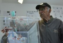 Otvorena biračka mesta u Boru na vreme, bez većih nepravilnosti