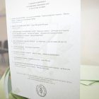 Prvi rezultati izbora u Boru: SNS oko 60%, iznad cenzusa još četiri liste