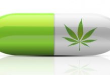 Legalizacija kanabisa i u Srbiji?