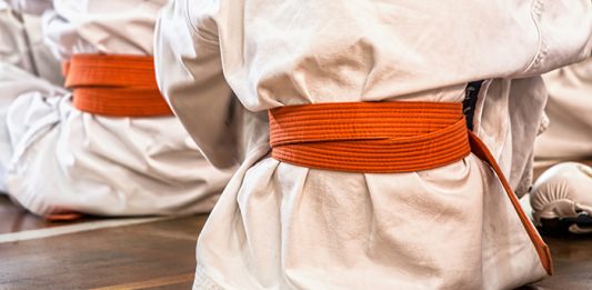 Devet medalja za borski Karate klub „Sureido“ na međunarodnom takmičenju u Kraljevu