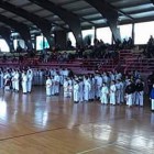 Zapaženo učešće borskog karate kluba Sureido na takmičenju u Knjaževcu