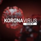 U Boru 187 novozaraženih