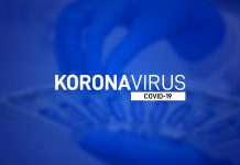 Oporavile se 22 osobe, 29 novozaraženih u Boru