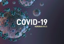 U Boru registrovano još 29 novozaraženih