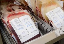 Danas redovna nedeljna akcija dobrovoljnog davanja krvi u Boru