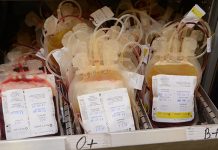 Redovna akcija dobrovoljnog davanja krvi u ponedeljak u Boru