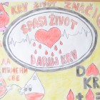 KRV ŽIVOT ZNAČI: Otvoren konkurs na temu dobrovoljnog davalaštva krvi