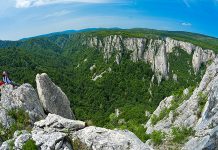Uskoro prvi ZIP LINE u okolini Bora