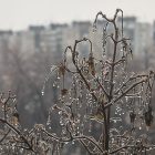 RHMZ upozorava na ledenu kišu, crveni meteo alarm u istočnoj Srbiji