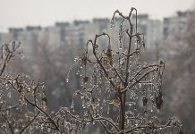 RHMZ upozorava na ledenu kišu, crveni meteo alarm u istočnoj Srbiji