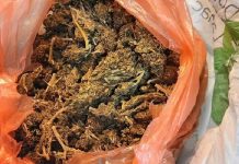 Boranin uhapšen sa 413 grama marihuane