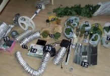Policija otkrila još jednu laboratoriju za uzgoj marihuane