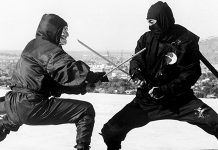Ninjutsu seminar u Boru (najava)