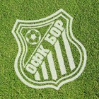 OFK Bor nastavio seriju poraza