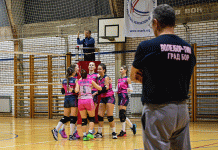 Volejbor-Tim večeras dočekuje Stampedo u 15. kolu Druge lige Istok