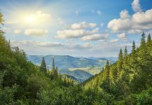 Top 5 najpopularnijih planina u Srbiji